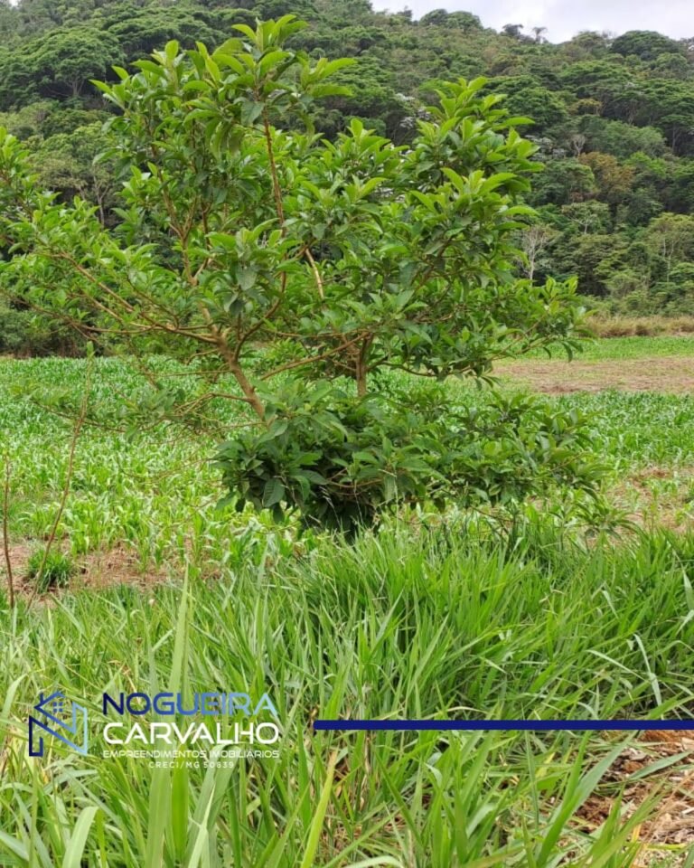 WhatsApp-Image-2026-01-27-at-10.21.20-1