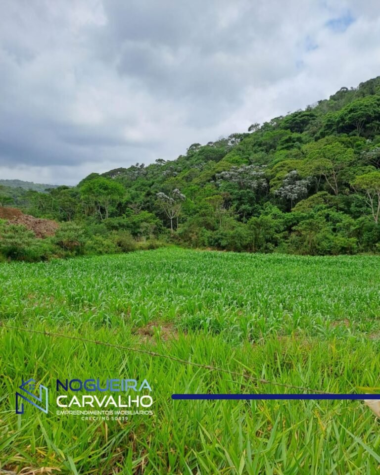 WhatsApp-Image-2026-01-27-at-10.21.21-1