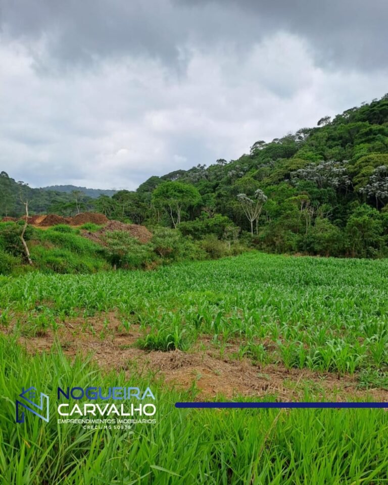 WhatsApp-Image-2026-01-27-at-10.21.21