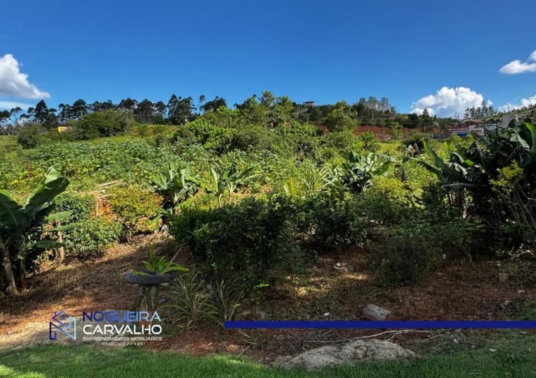 WhatsApp-Image-2026-01-30-at-12.20.46