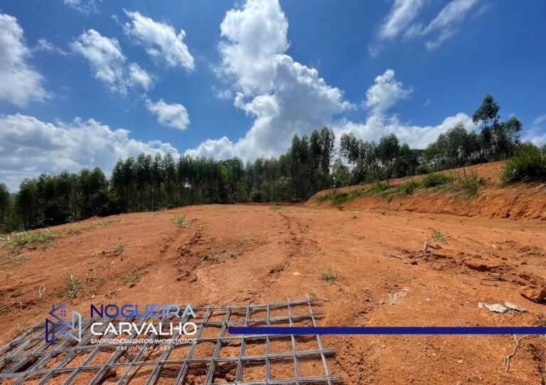 WhatsApp-Image-2026-02-19-at-19.15.10-1