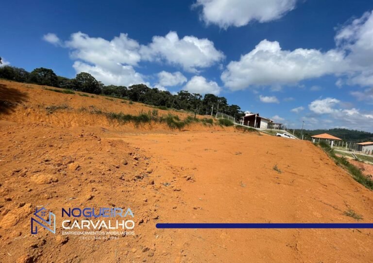 WhatsApp-Image-2026-02-19-at-19.15.10