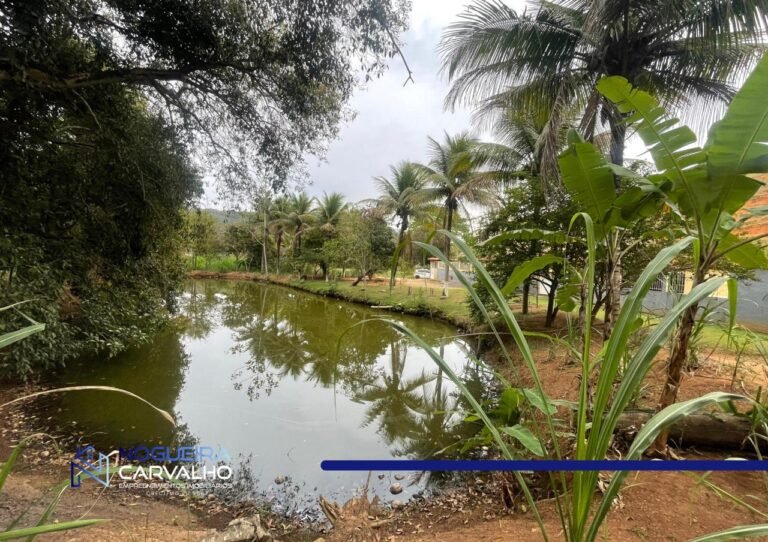 WhatsApp-Image-2026-09-02-at-13.21.19-2